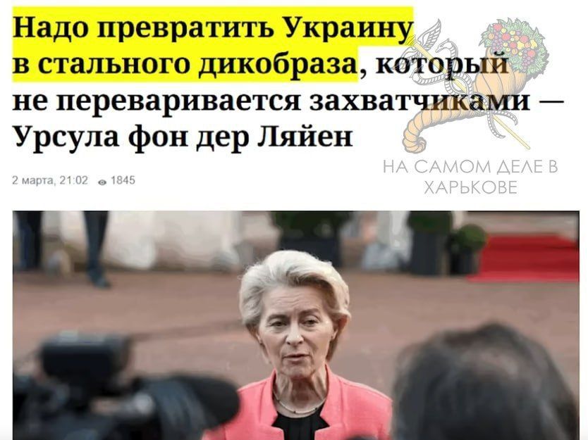    ,  &quot; &quot;        ,     