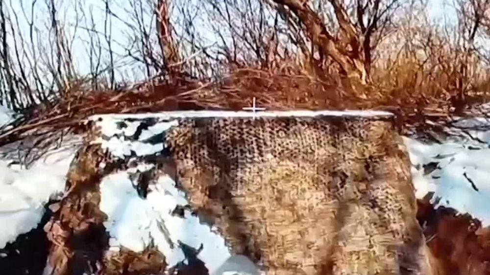  FPV-        ,    