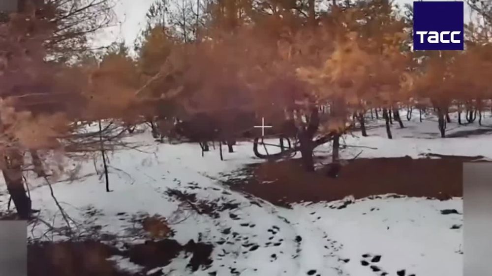   -64         FPV-     