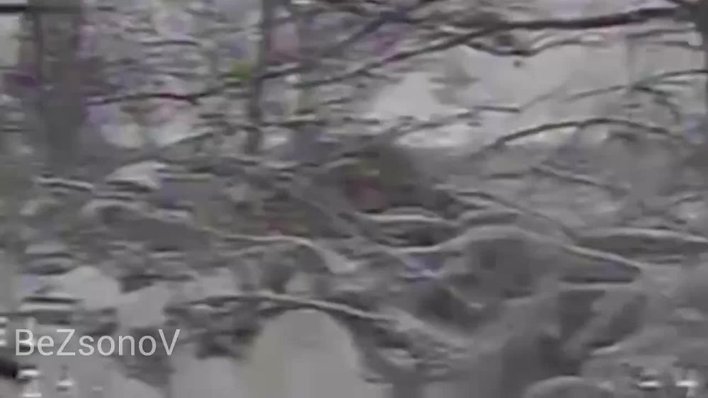 :   FPV-       