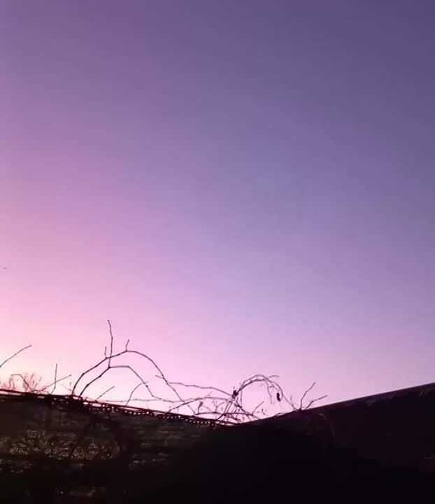   -101     
