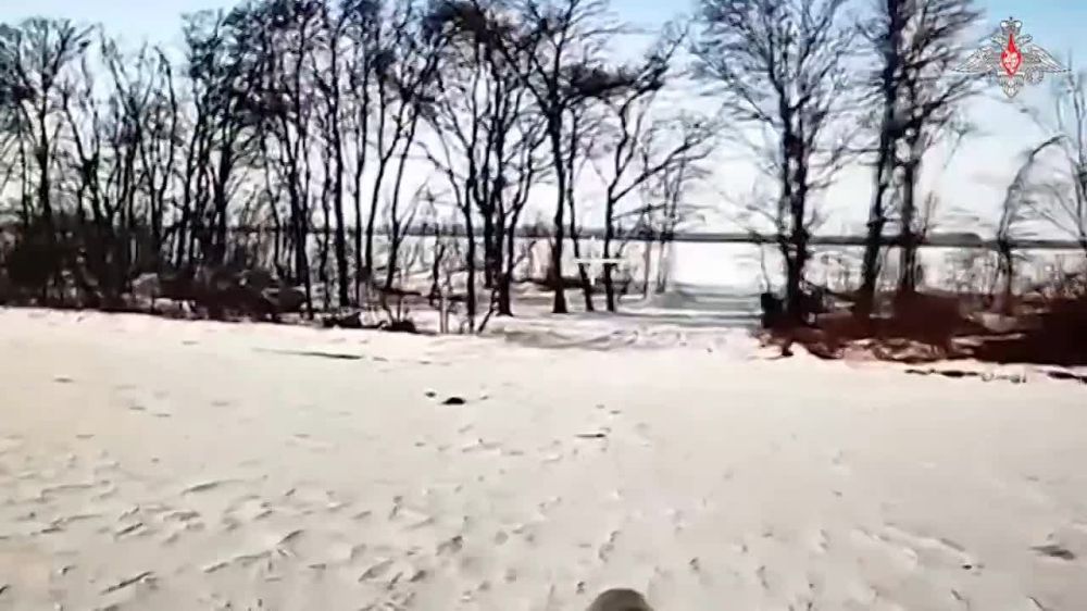     FPV     