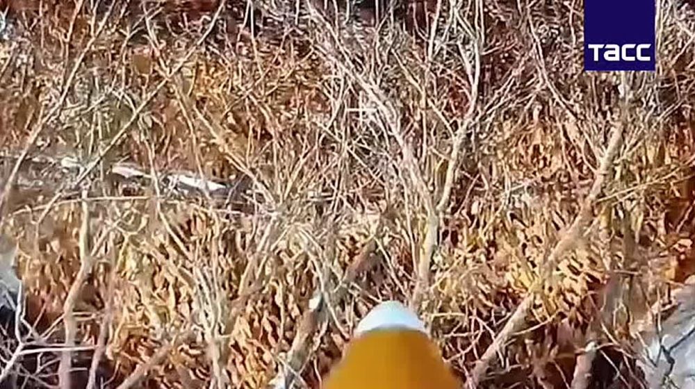  FPV-     &quot;&quot;    