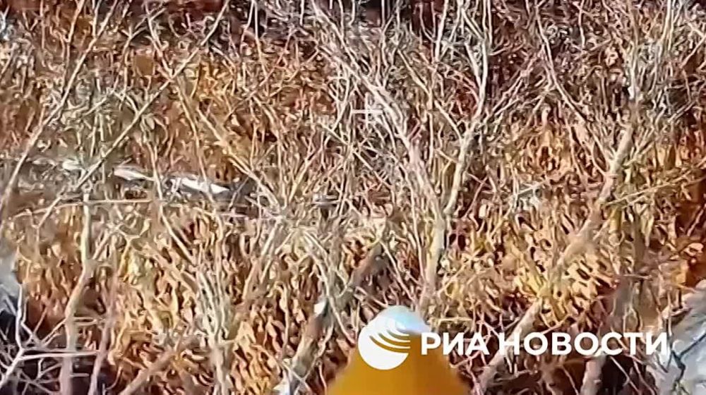         &quot;&quot;   FPV-     &quot;&quot;   