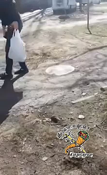  .   &quot; &quot;  ,  