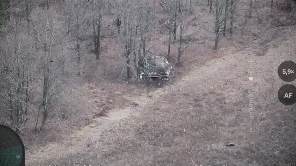   FPV-:       