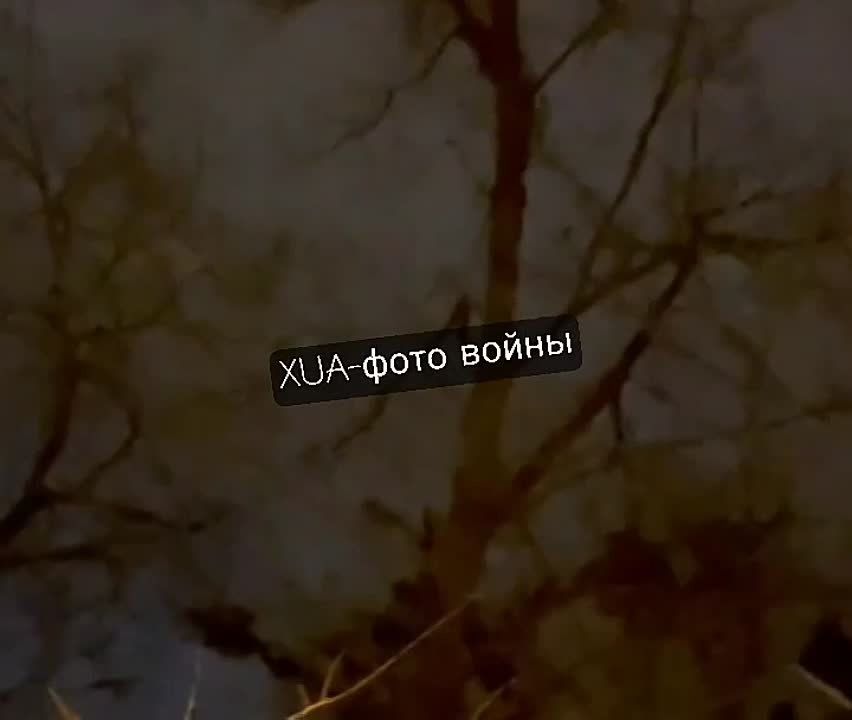        +     