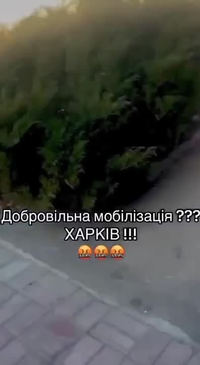     ,      ,     