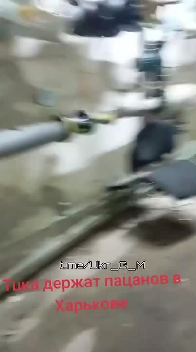      ?  !