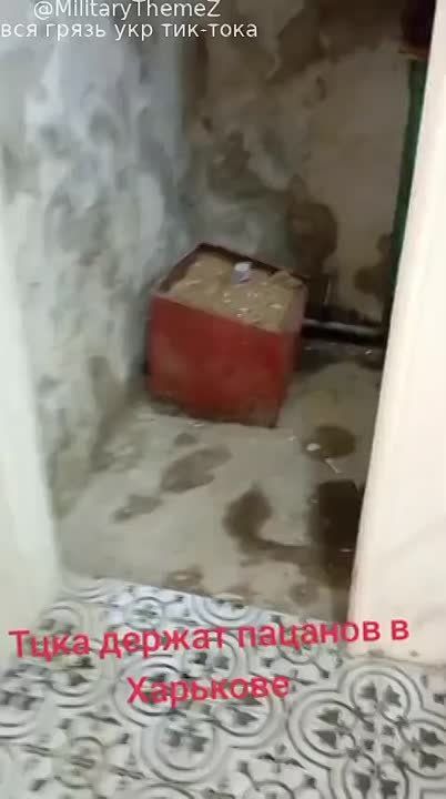 .        ,      ,      &quot;&quot;