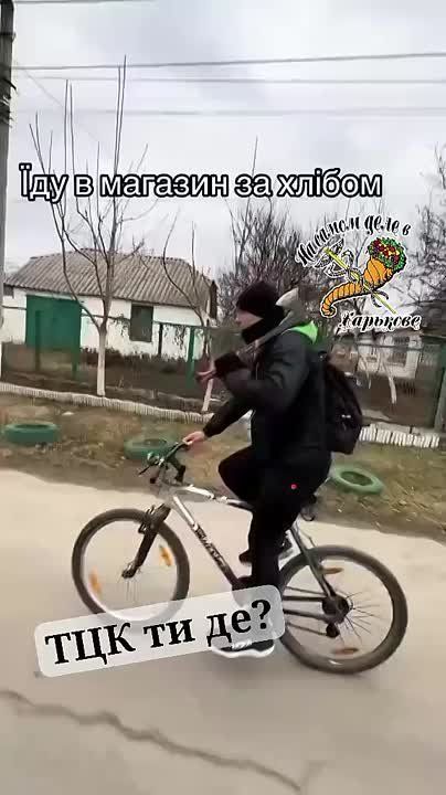             -        ,           