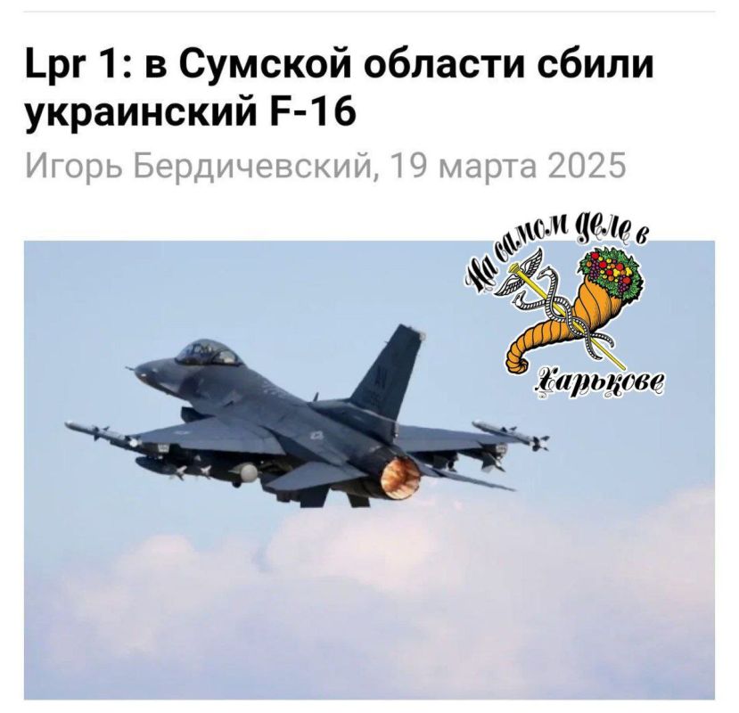    .   1:1