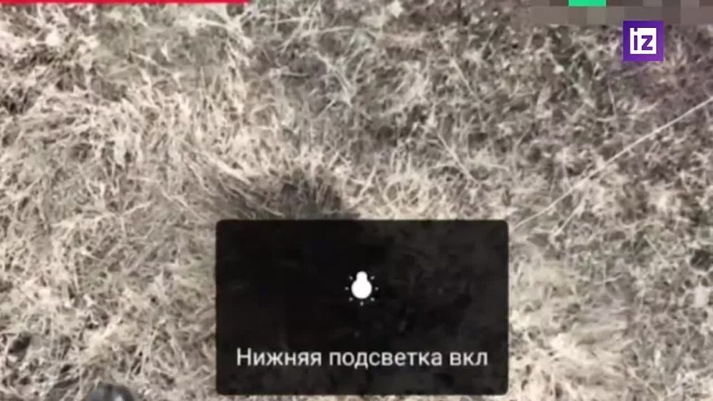      &quot; &quot;    