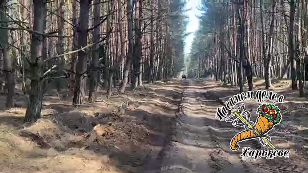 Трофеи ВС РФ в Курской области