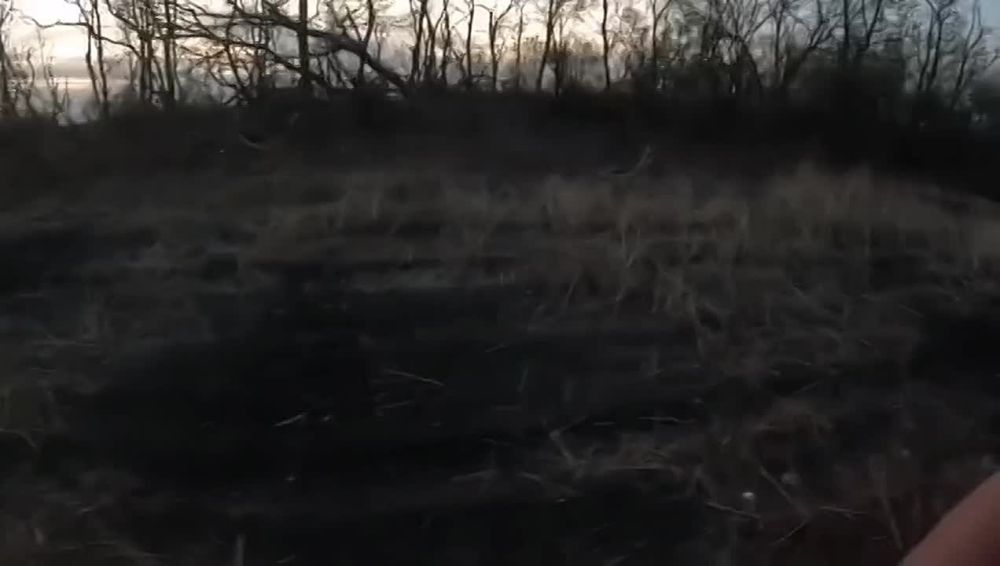 Посмотрите в каких тяжелых условиях проходит процесс эвакуации с поля боя наших раненных ребят