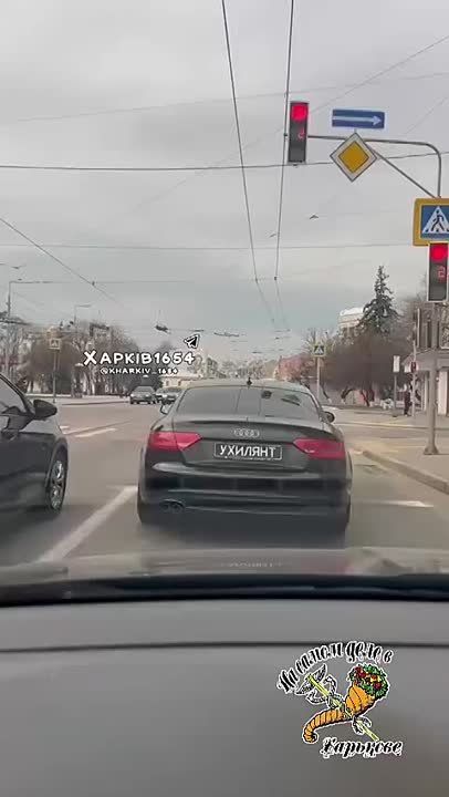 Вот такую Audi с блатными номерами "Ухилянт" видели сегодня на Московском проспекте