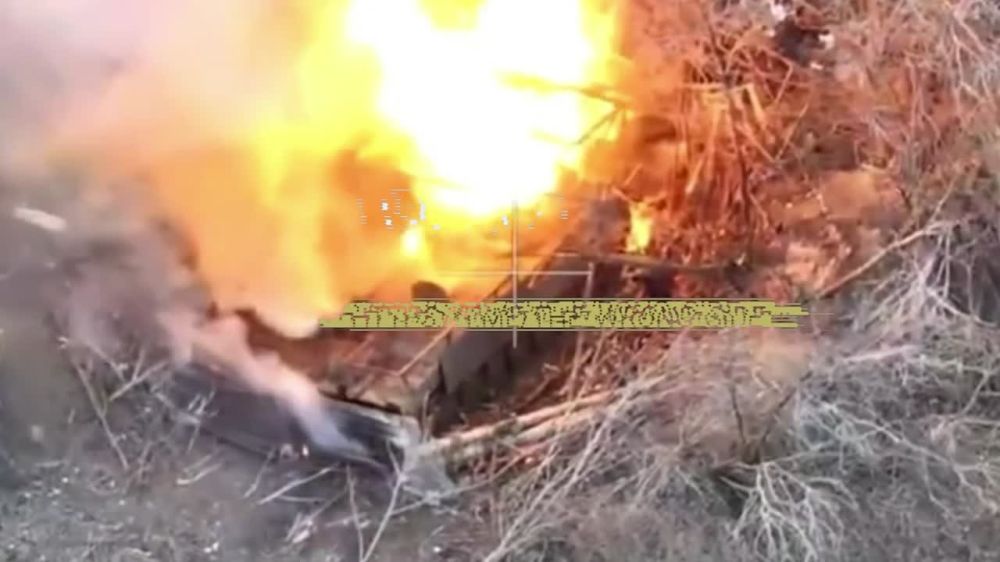   21 &quot;&quot;   &quot;&quot;   