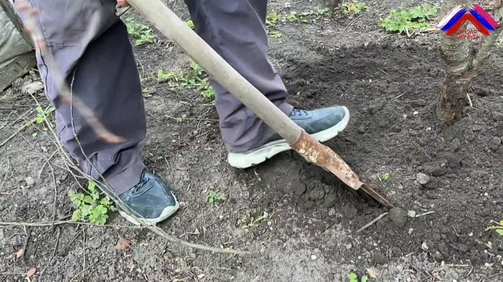 Молодежь из Харьковской области "Время Первых" открыла сезон добрых дел!