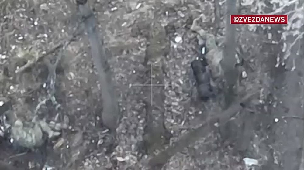 Лежали всушники в укрытии, но спрятаться не получилось