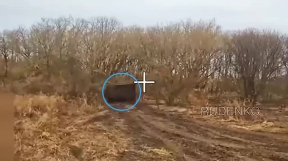 Собакен чуть было всё не испортил