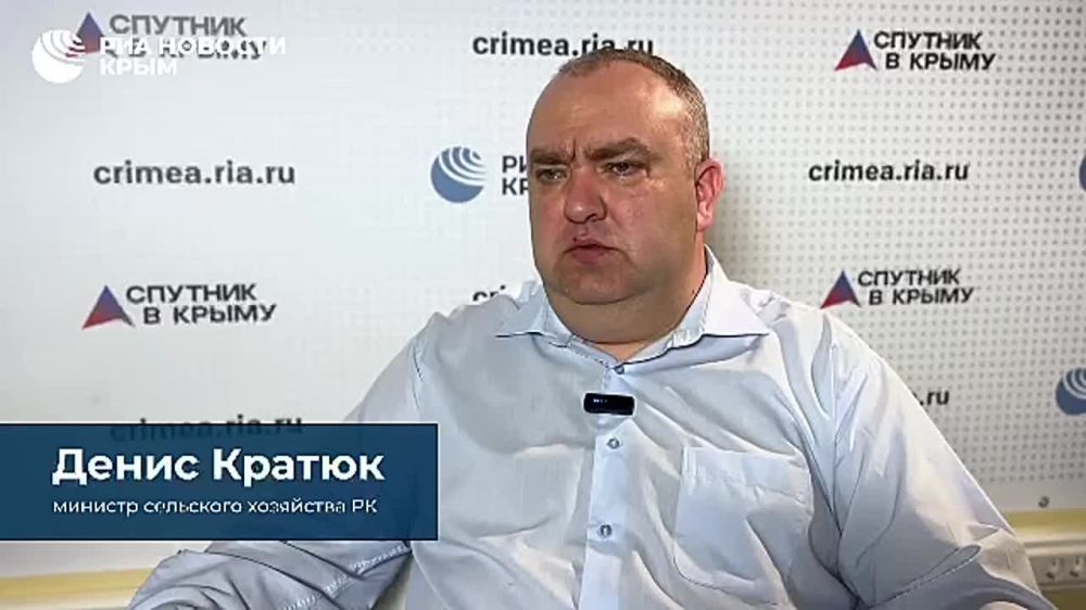 Южные сладости: Крым поставляет в другие регионы РФ вина, персики и клубнику