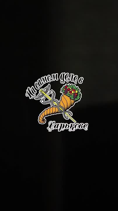 Харьковская область, БПЛА Герани в поисках целей ВСУ