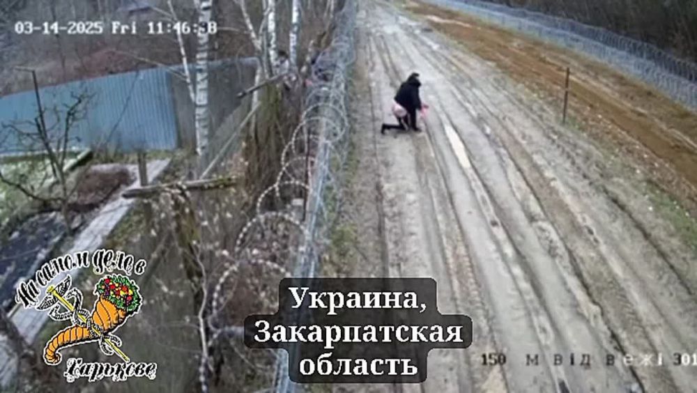 Смеялись всей Северной Кореей!