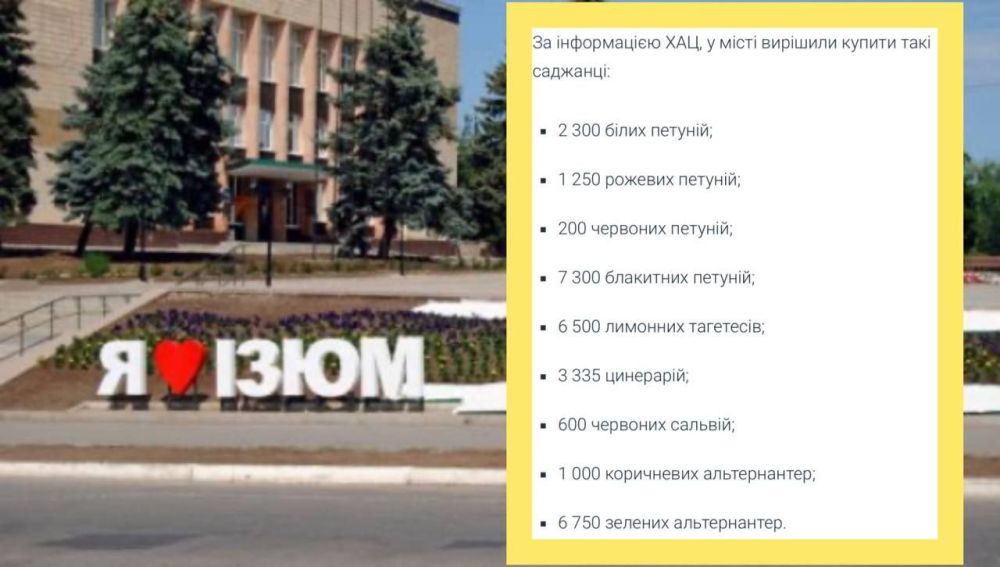 В Изюме гауляйтеры планируют закупить цветы для клумб на 0,6 млн грн