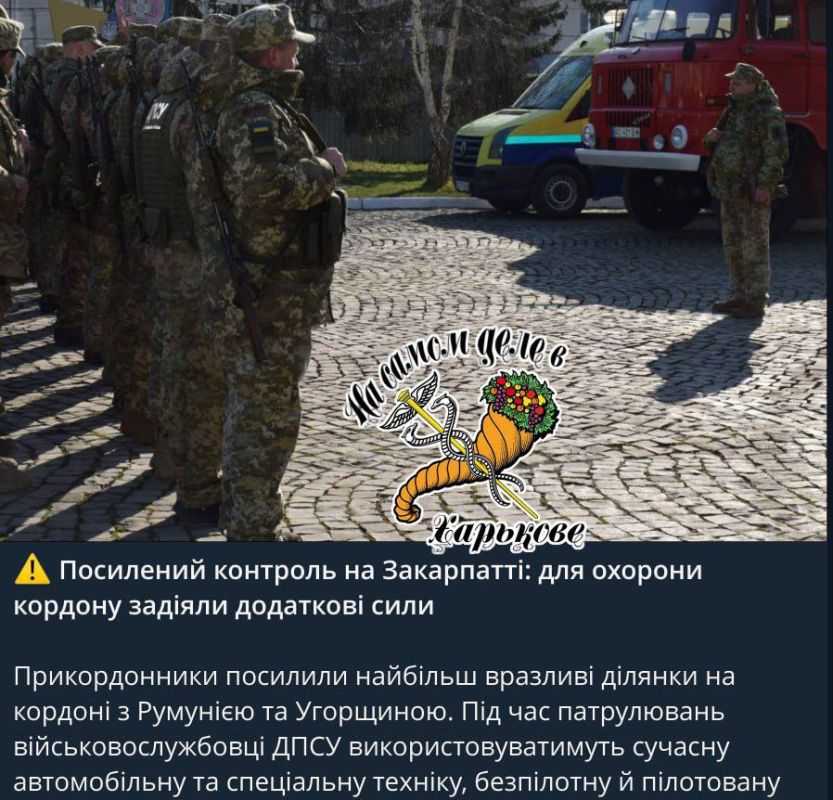 Ну что ж. Пришла весна, и украинские мужчины массово потянулись на Запад Ну что ж. Пришла весна, и украинские мужчины массово потянулись на Запад