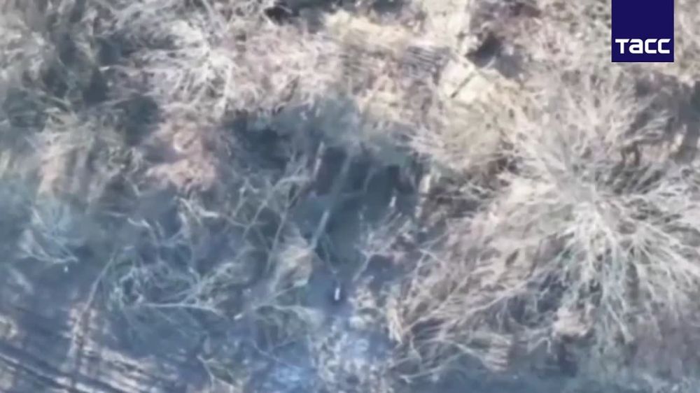 Российский беспилотник уничтожил буксируемую гаубицу М777 на купянском направлении в Харьковской области, сообщили в Минобороны РФ