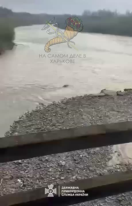 Ну что ж. Пришла весна, и украинские мужчины массово потянулись на Запад