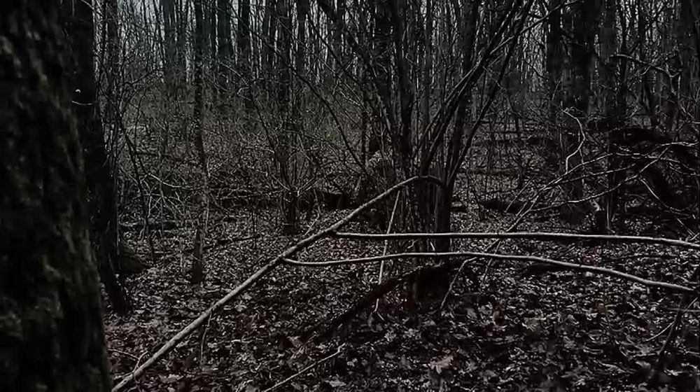 Снайперская пара 44 Армейского корпуса уничтожила живую силу противника на Харьковском направлении