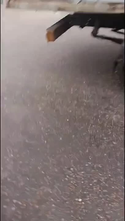 Сопротивление людоловам Зеленского на Украине становится поистине народным видом спорта