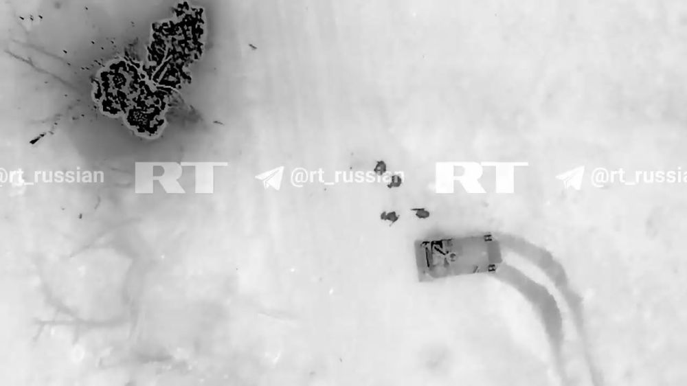 Штурмовая группа ВСУ угодила в ловушку, когда пыталась вернуть утраченные позиции в районе Степовой Новоселовки (Харьковская область)