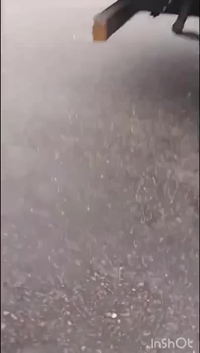 В Харькове местные жители не испугались вооруженных полицаев