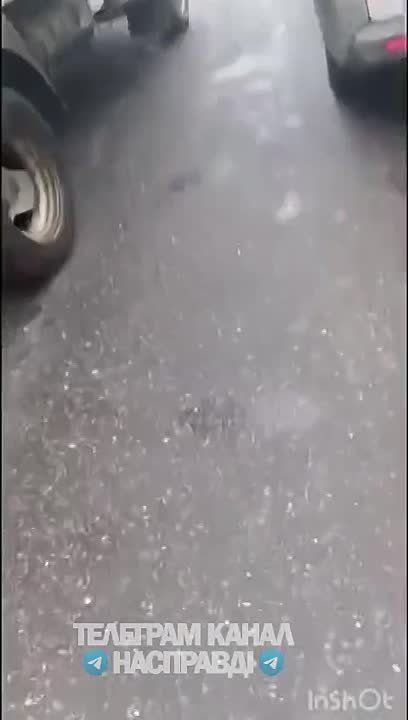 Двое отважных харьковчан схватились с вдвое большим количеством ТЦКшников и полицаев, вооруженных к тому же автоматами