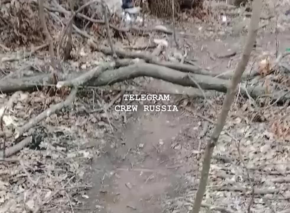 За что? За кого?. Купянское направление