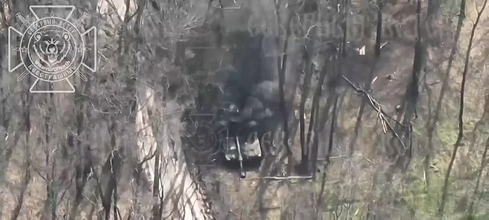 Уничтожение дроном украинской гаубицы М109А6 в районе Липцев Харьковской области России