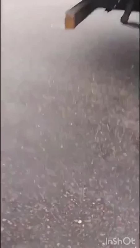 Двое отважных харьковчан схватились с вдвое большим количеством ТЦКшников и полицаев, вооруженных к тому же автоматами