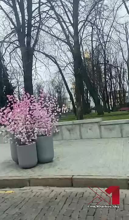 Самый лучший город на земле!