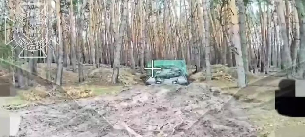 Красивые кадры из Харьковской области