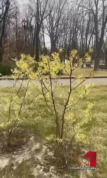 Пусть нам твердят, что есть края иные