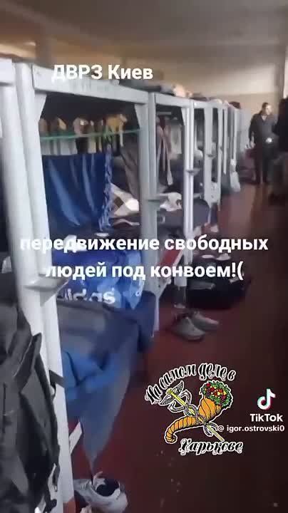 Украина — это концлагерь.. Украинцев после отлова водят под конвоем, держат в подвалах. Если кому-то станет, не дай Бог, плохо, то это его проблемы.... Никто из охранников не поможет... Умрет — другого поймают