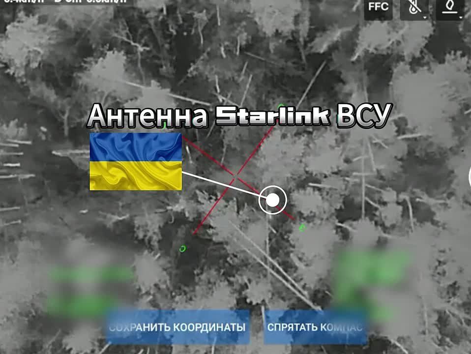 Кина не будет, расходимся