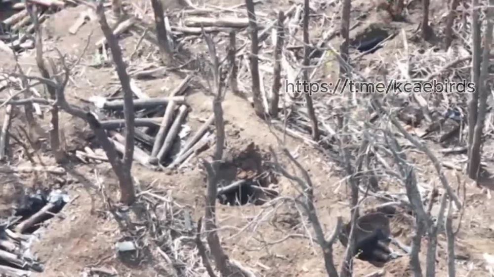 Российские роботы-камикадзе не смогли сочинить симфонию и превратить кусок холста в шедевр искусства, но с задачей превратить украинские позиции в груду пыли, грязи и обломков брёвен справились на "отлично"