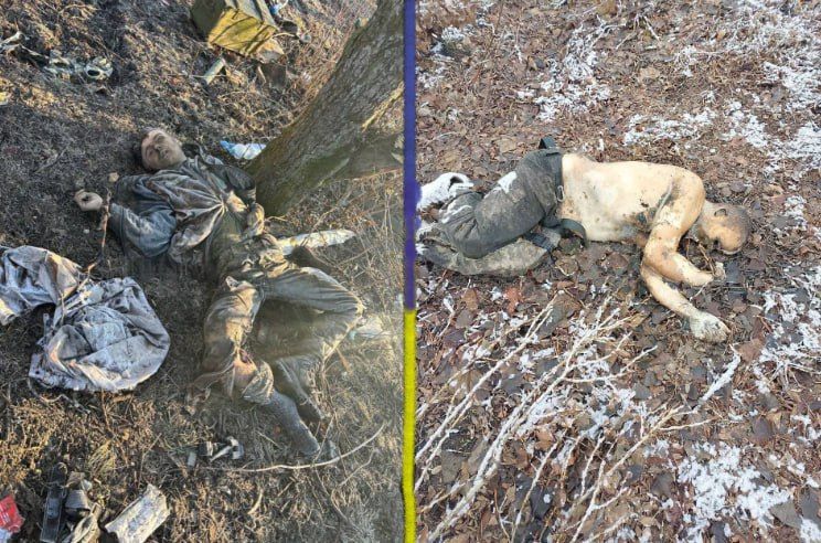 «По-моему, чувак, нас кинулы…» «По-моему, чувак, нас кинулы…»