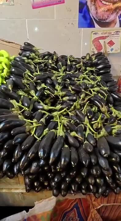 В пустыне овощи дешевле, чем в аграрной стране с крупнейшими запасами чернозема