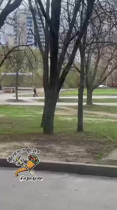 Попытка могилизации на Салтовке