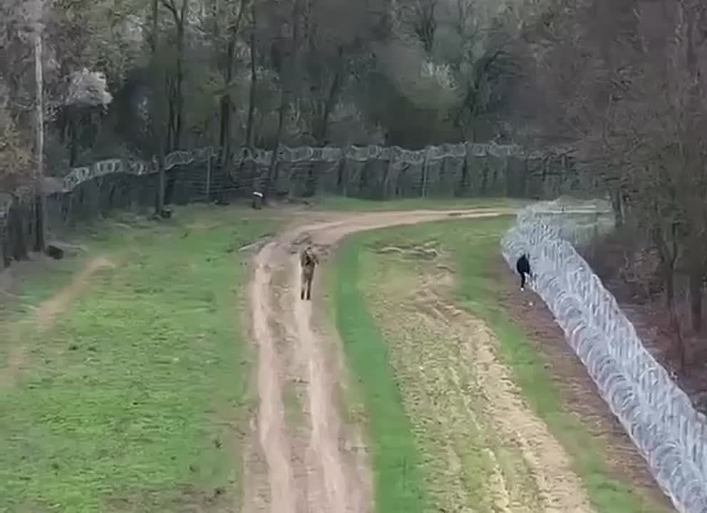 25-30% украинцев навсегда останутся за границей, — министр национального единства Алексей Чернышов