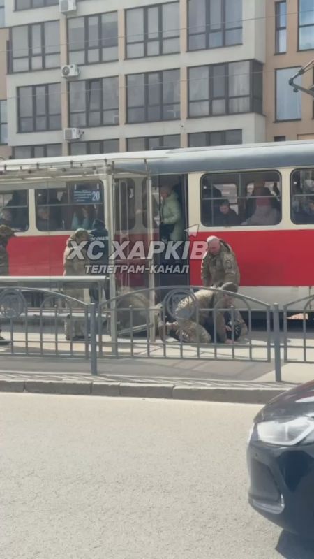 Харьков, ул. Клочковская, шестеро здоровенных уклонистов напали на одного, чтобы избить, загрузить и полуживого отправить на фронт